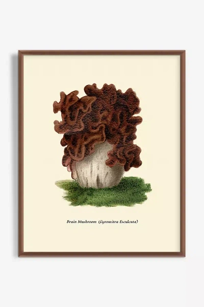Artfully Walls Mushroom Study Wall Art