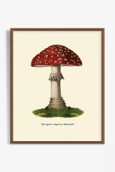 Artfully Walls Mushroom Study Wall Art