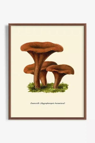 Artfully Walls Mushroom Study Wall Art