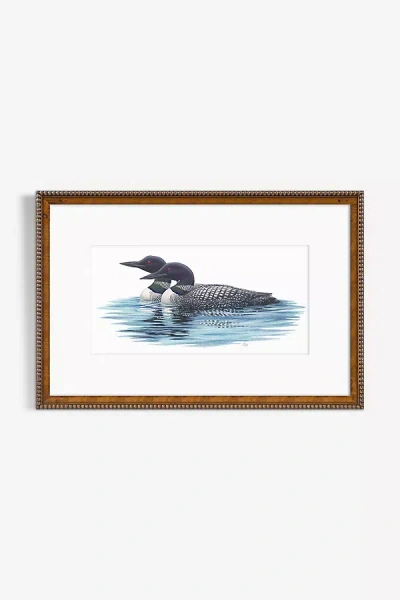 Artfully Walls Pair Of Common Loons Wall Art In Blue