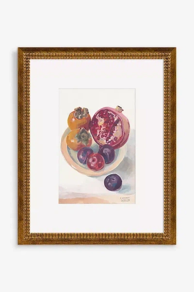 Artfully Walls Plate With Pomegranate Wall Art In Multi