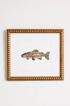 Artfully Walls Pressed Flower Rainbow Trout Wall Art