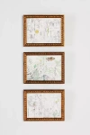 Artfully Walls Sketchbook Art Grouping Wall Art