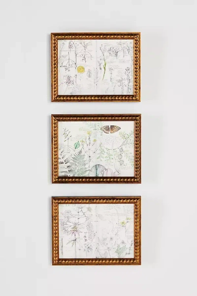 Artfully Walls Sketchbook Art Grouping Wall Art In Brown