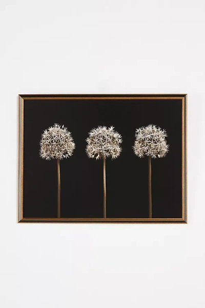 Artfully Walls Three Alliums Wall Art In Beige