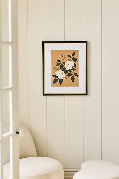 Artfully Walls White Roses No.1 Wall Art In Multi