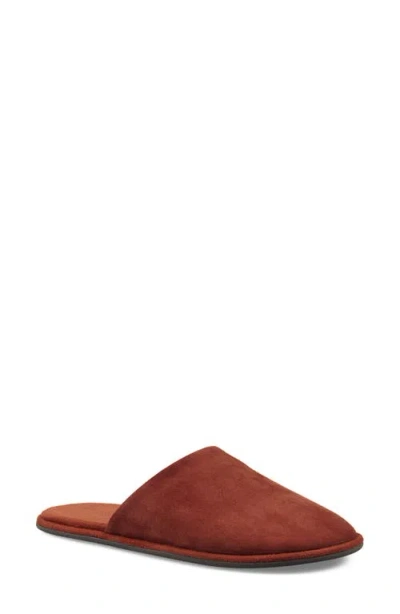 Artisan Crafted By Zigi Essexx Slipper In Brown