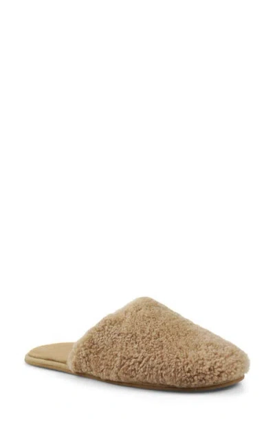 Artisan Crafted By Zigi Essexx Slipper In Brown