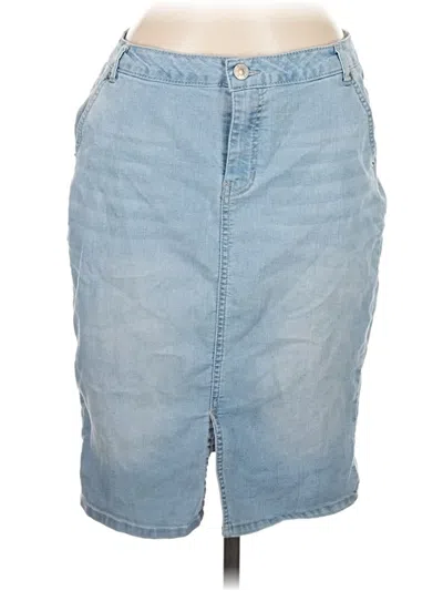 Pre-owned Artisan Ny Denim Skirt In Blue