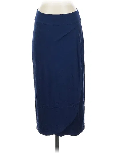 Pre-owned Artisan Ny Formal Skirt In Blue