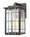 Artistic Home & Lighting Brewster 1-light Sconce