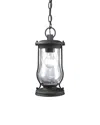 Artistic Home & Lighting Farmstead 1 Light Outdoor Pendant In Matte Black