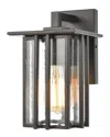 Artistic Home & Lighting Radnor 1-light Sconce