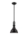 Artistic Home & Lighting Rutherford 1-light Pendant