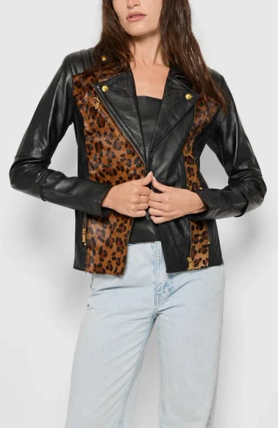 As By Df Lou Perfecto Leather Jacket