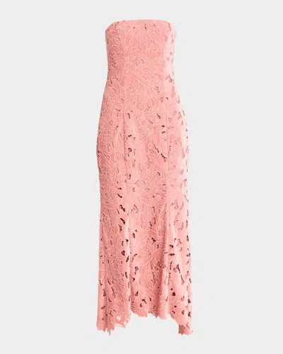 As It May Aurelie Strapless Velvet Lace Midi Dress In Tea Rose