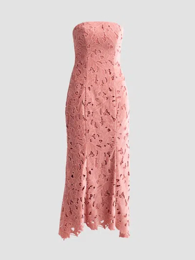 As It May Women's Aurelie Strapless Velvet Lace Midi Dress In Tea Rose