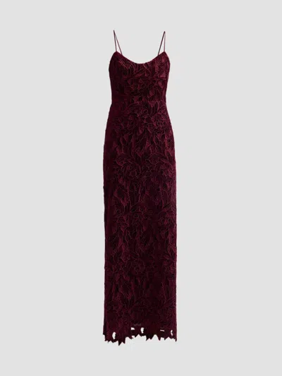 As It May Women's Charlotte Velvet Lace Gown In Burgandy