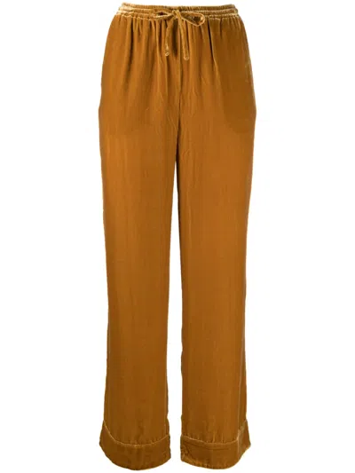 Asceno Aurelia Straight-leg Velvet Trousers In Gold