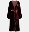 Asceno Belted Velvet Midi Dress In Burgundy