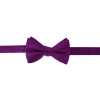 Ascentix Etched Herringbone Twist Bowtie In Purple