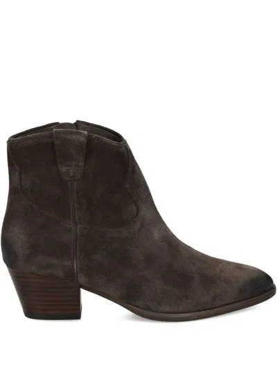 Ash 50mm Fame Suede Zipped Ankle Boots In Brown