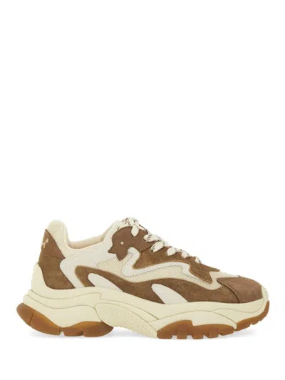 Ash Addict 06" Sneakers In Multi