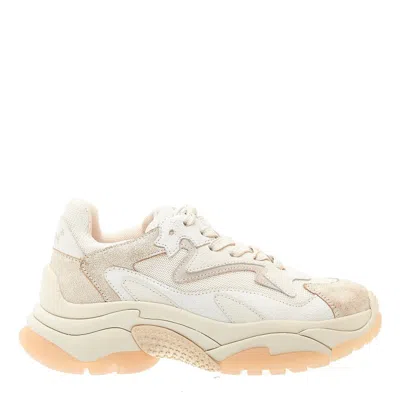Ash Addict Beige And White Sneakers