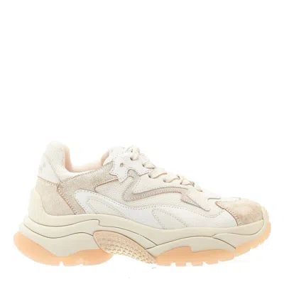 Ash Addict Sneakers In Beige