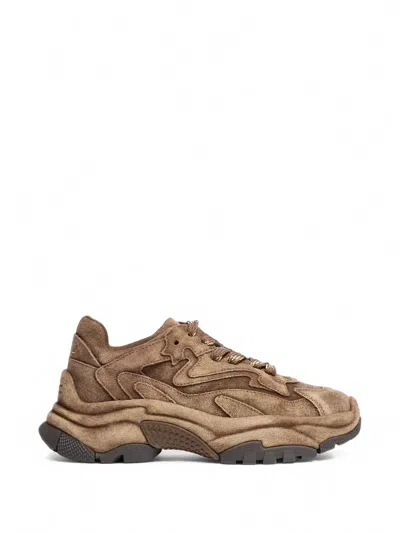 Ash Addict Bis Chunky Low-top Sneakers In Brown
