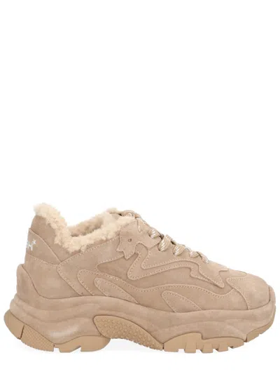 Ash Addict Bis Fur Suede Sneakers In Brown