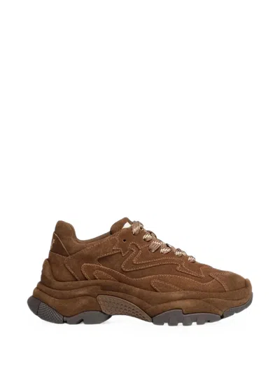 Ash Addict Bis Suede Sneakers In Brown