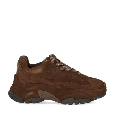 Ash Addict Brown Sneaker