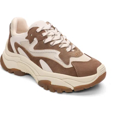 Ash Addict Chunky Sole Sneaker