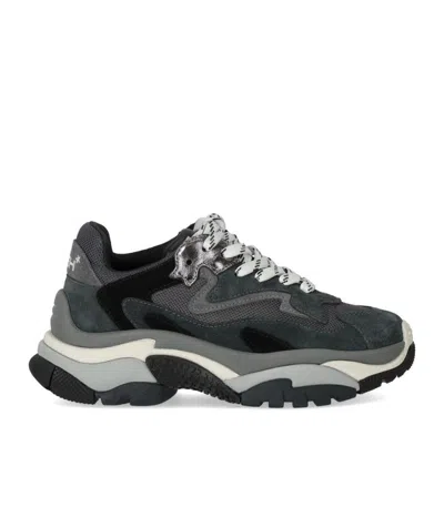 ASH ADDICT GREY SNEAKER