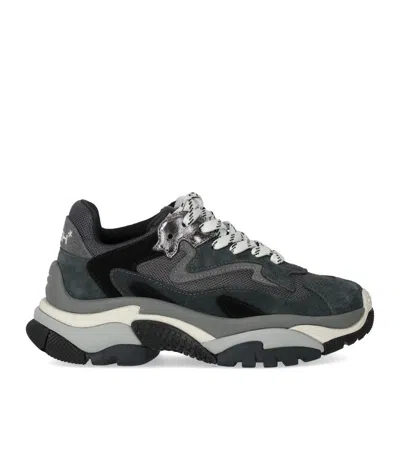 ASH ADDICT GREY SNEAKER