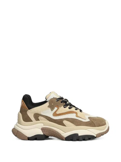 Ash Addict Panelled Chunky Sneakers In Multi