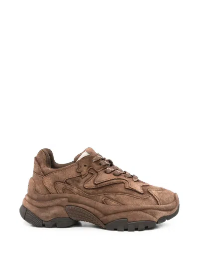 Ash Addict Panelled Sneakers In Brown