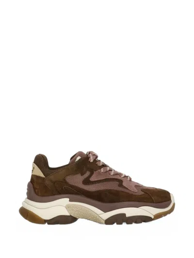 Ash Addict Panelled Sneakers In Brown