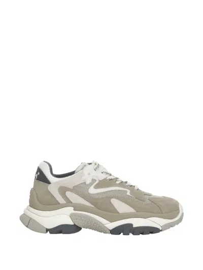 Ash Addict Panelled Sneakers In Neutral