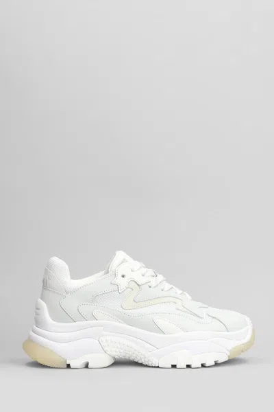 Ash Addict Sneakers