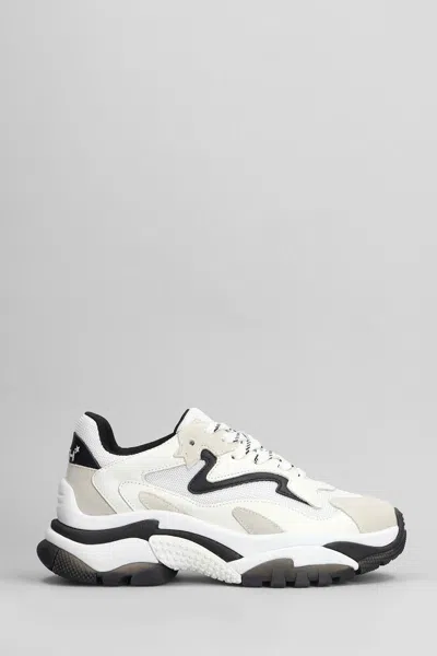 Ash Addict Sneakers