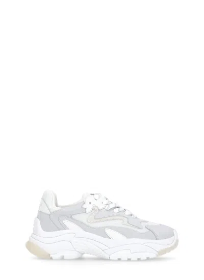 ASH ADDICT SNEAKERS