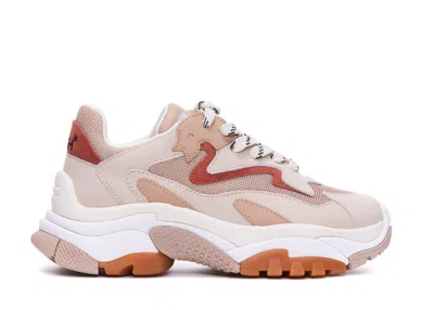 Ash Addict Sneakers In Bianco/beige