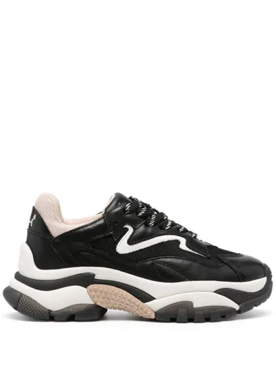 ASH ADDICT SNEAKERS