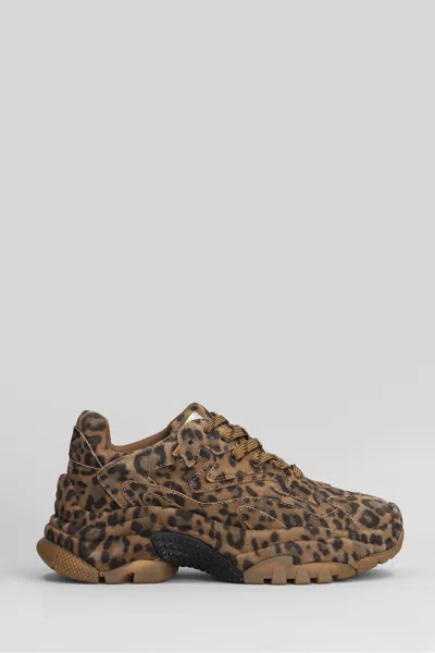 Ash Addict Sneakers In Animalier Suede In Animal Print