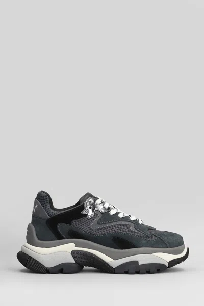 Ash Addict Sneakers In Grey Suede And Fabric In Gray