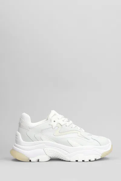 Ash Addict Sneakers In White Leather And Fabric