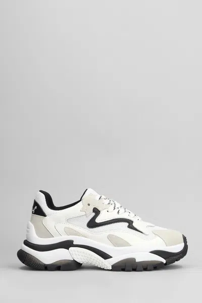Ash Addict Sneakers In White Leather And Fabric