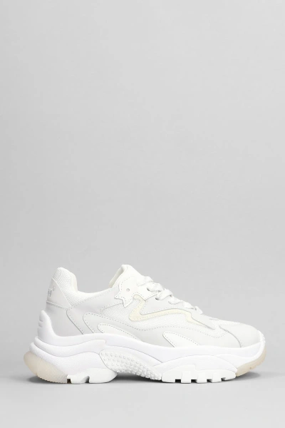 Ash Addict Sneakers In White Leather And Fabric
